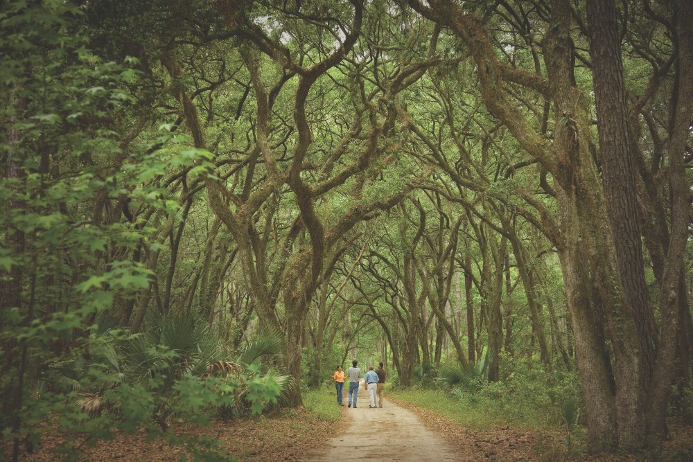 Like other South Street Partners assets, Palmetto Bluff features a trails and recreation-friendly nature preserves like the River Road Preserve. (Photo/Provided) 