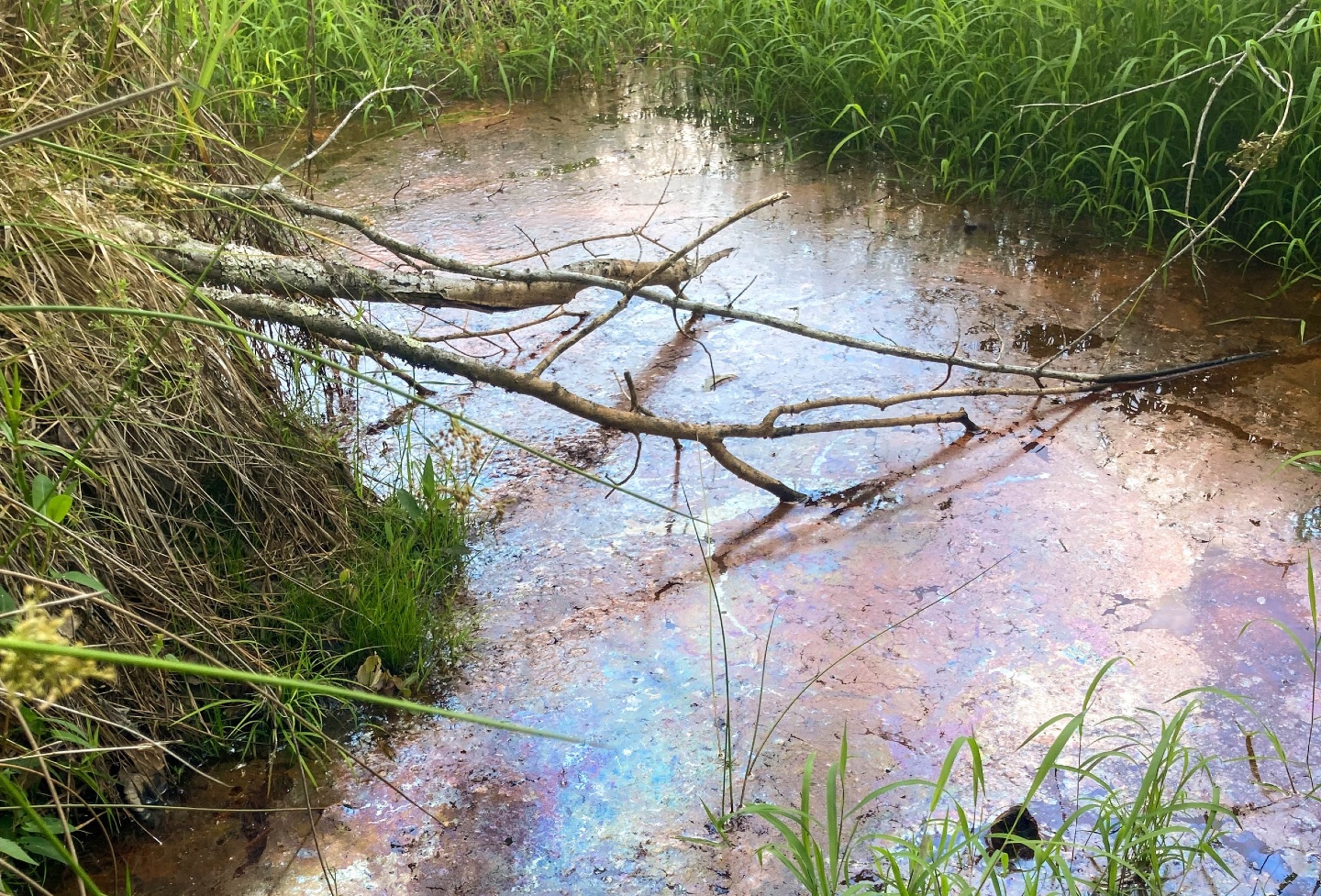 The funding pool is sourced from the Kinder Morgan pipeline spill in Anderson County in 2014, shown here. (Photo/Provided)